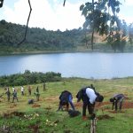 tree planting program at chemususu dam3